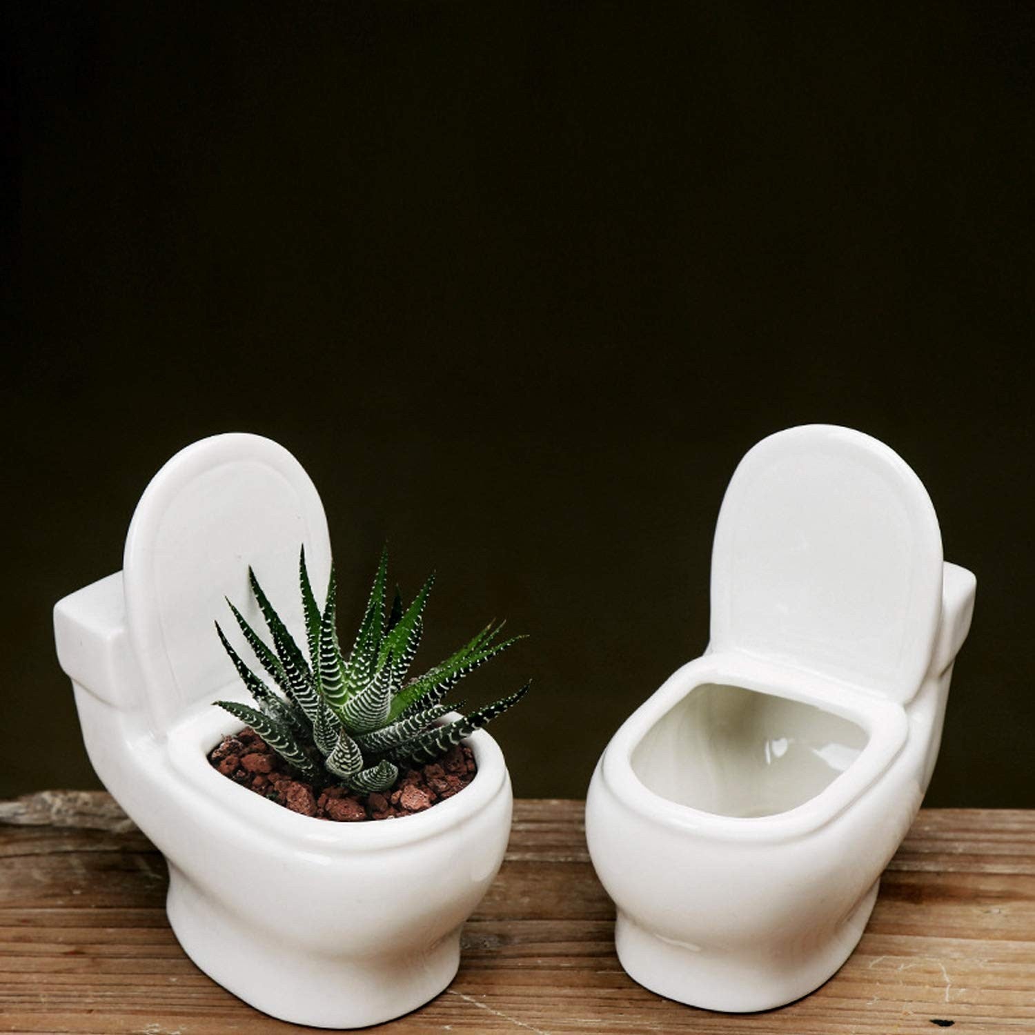 NaturNest - Toilet Pot Plant Pot: A Playful Touch for Your Interior