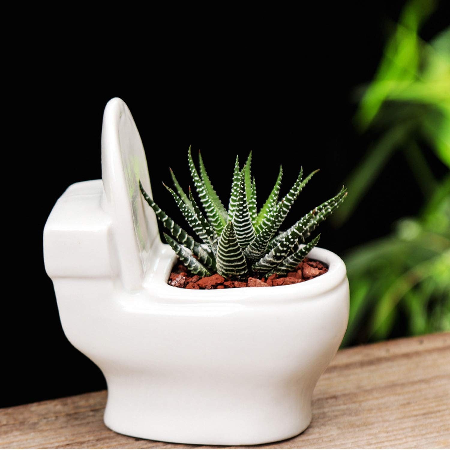 NaturNest - Toilet Pot Plant Pot: A Playful Touch for Your Interior