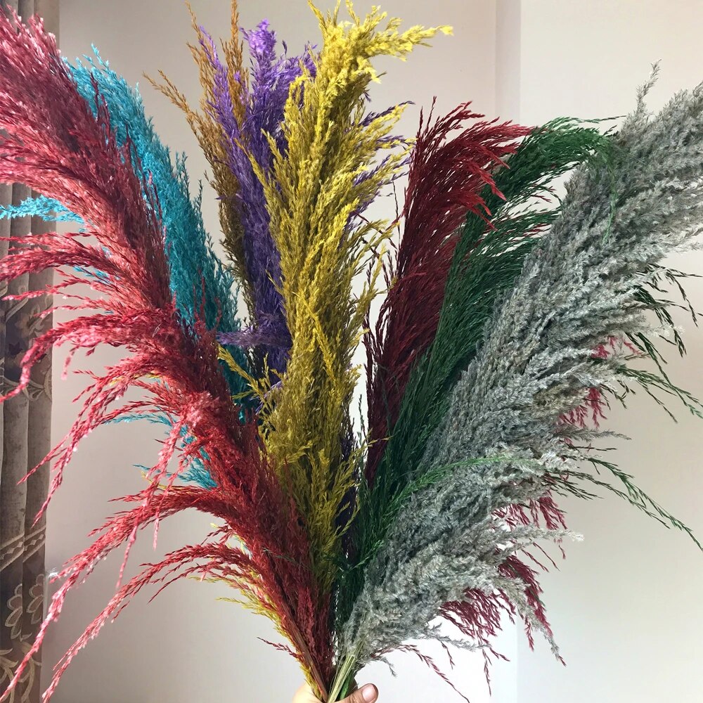 Dried Pampas Grass - Boho Decoration for Your Interior