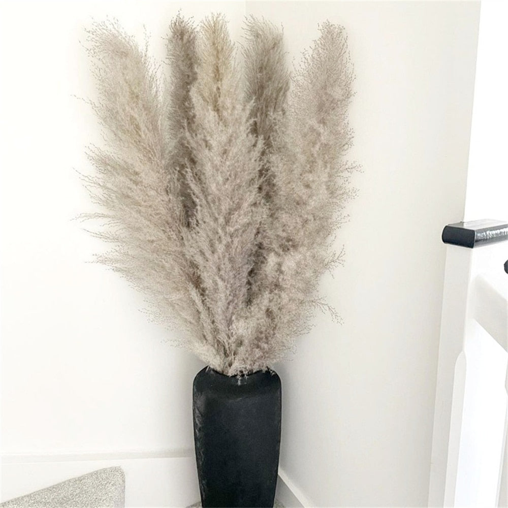 Dried Pampas Grass - Boho Decoration for Your Interior