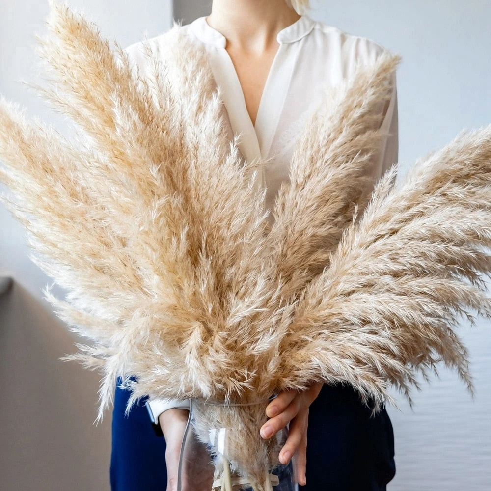 Dried Pampas Grass - Boho Decoration for Your Interior