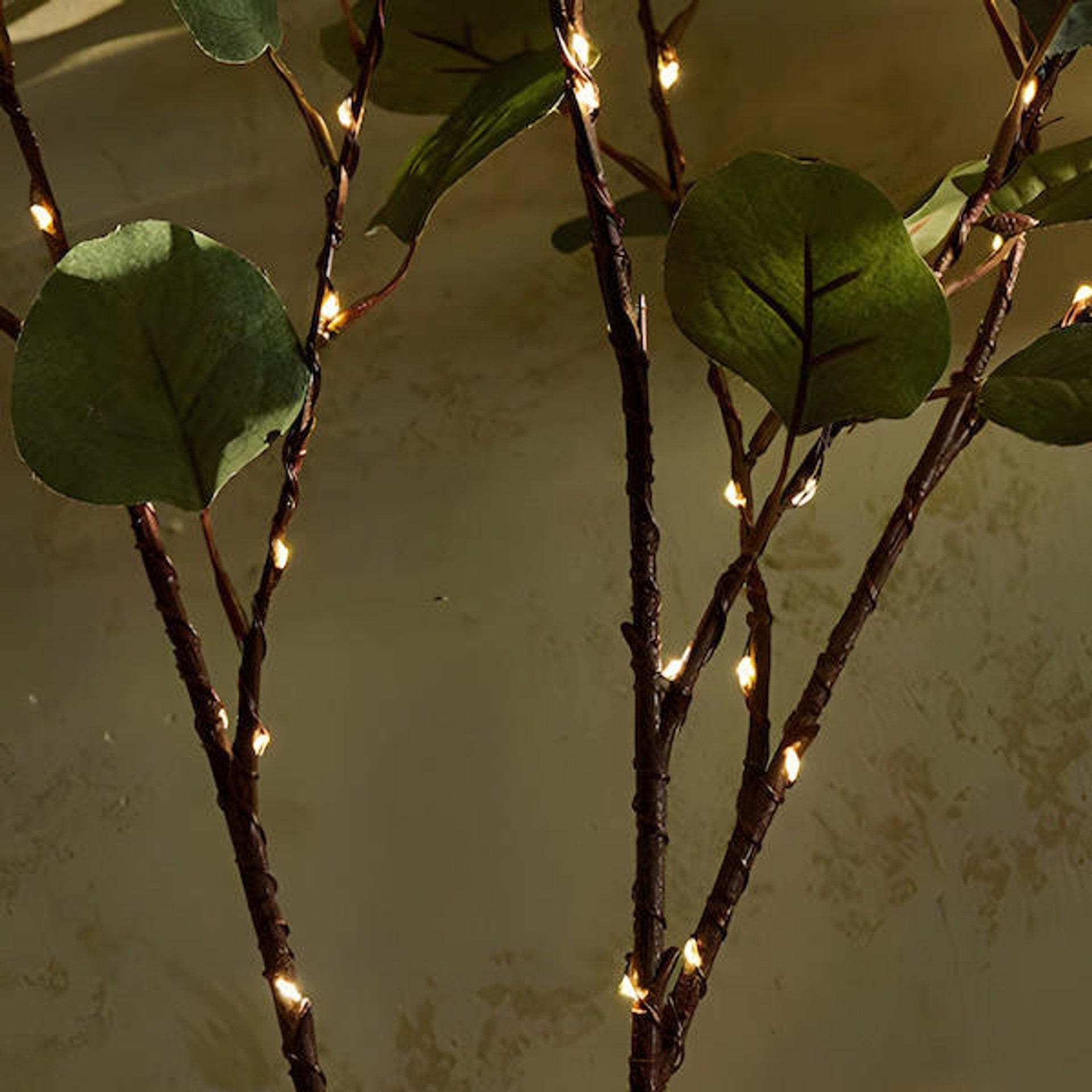 GlowBranch, inspired by the feeling of nature and luxury.