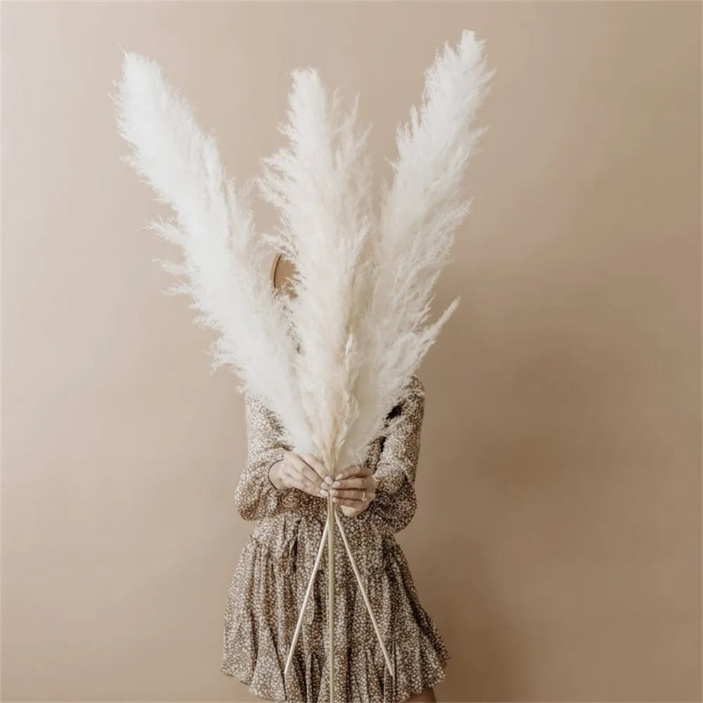 Dried Pampas Grass - Boho Decoration for Your Interior