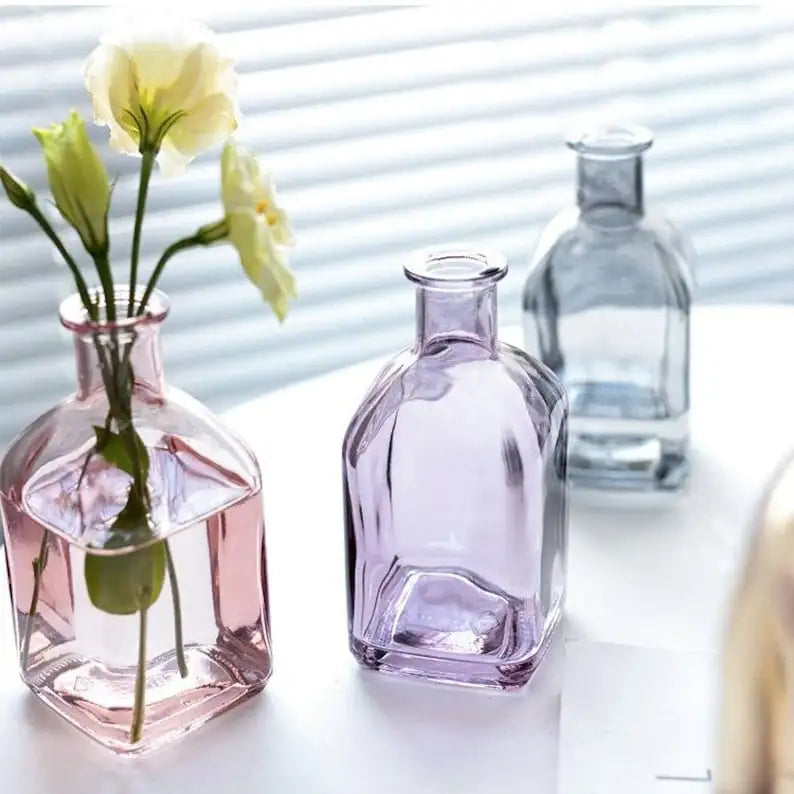 Blossira Glass Vases - Colourful Transparent Vases for Dried & Fresh Flowers