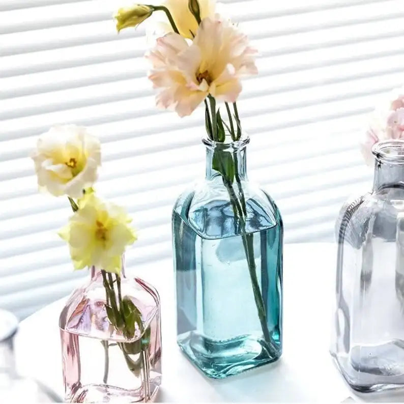 Blossira Glass Vases - Colourful Transparent Vases for Dried & Fresh Flowers