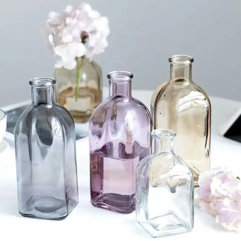 Blossira Glass Vases - Colourful Transparent Vases for Dried & Fresh Flowers