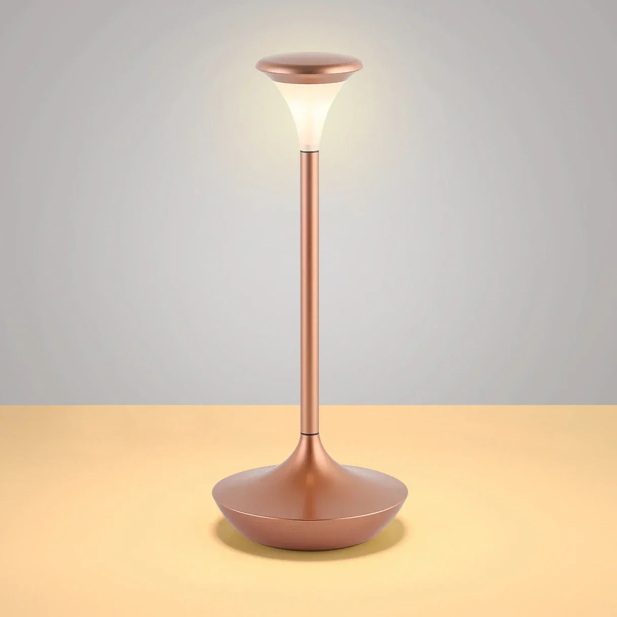 Rechargeable LED Table Lamp - Aluminium Desk Lamp for Bedroom, Living Room and Nightstand