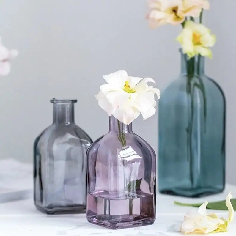 Blossira Glass Vases - Colourful Transparent Vases for Dried & Fresh Flowers