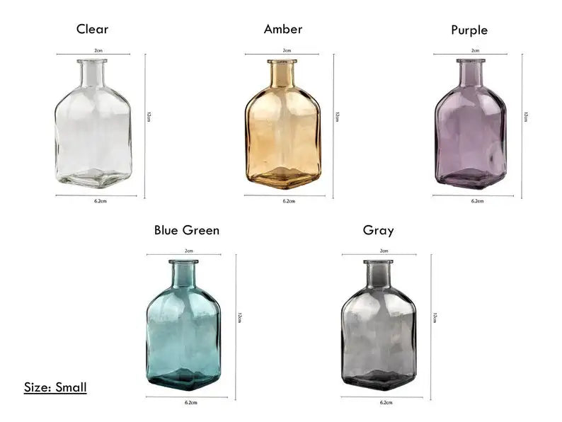 Blossira Glass Vases - Colourful Transparent Vases for Dried & Fresh Flowers