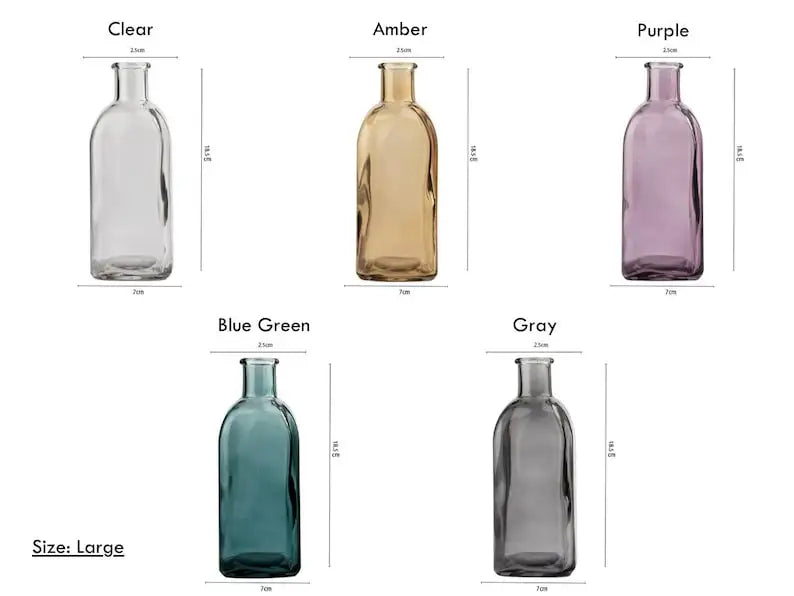 Blossira Glass Vases - Colourful Transparent Vases for Dried & Fresh Flowers