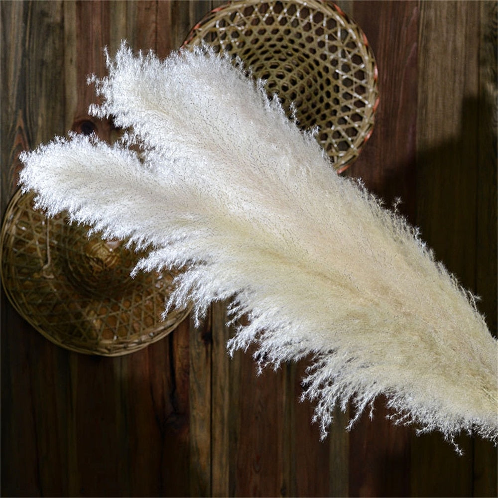 Dried Pampas Grass - Boho Decoration for Your Interior