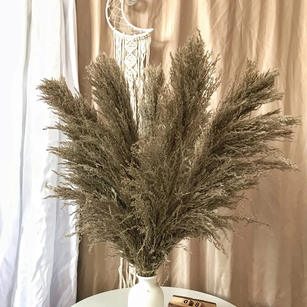 Dried Pampas Grass - Boho Decoration for Your Interior