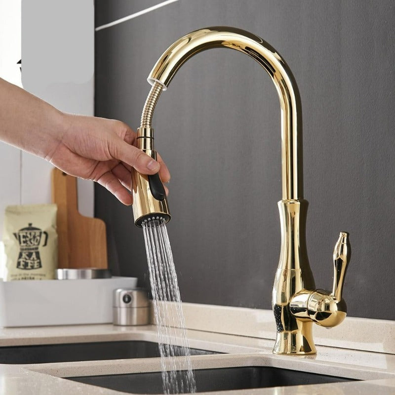 AquaLuxe - Pull-Out Kitchen Tap