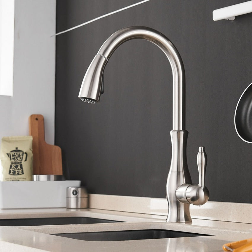 AquaLuxe - Pull-Out Kitchen Tap