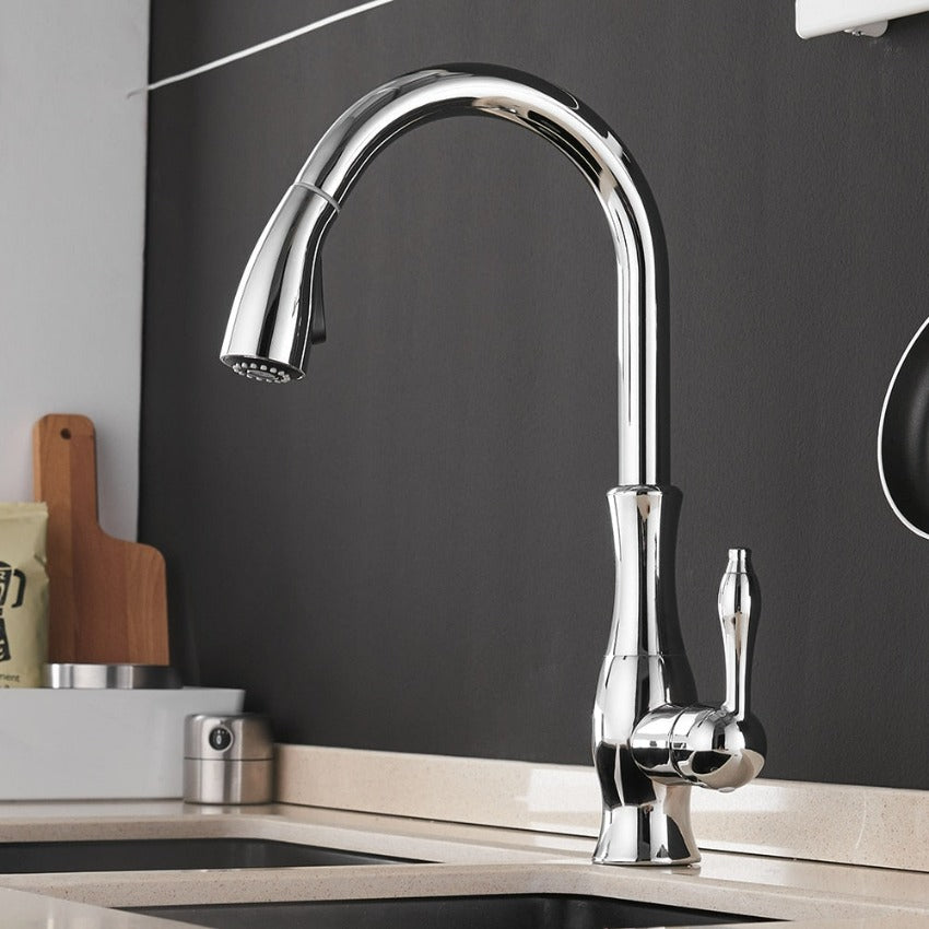 AquaLuxe - Pull-Out Kitchen Tap