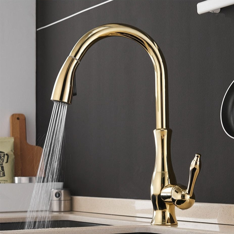 AquaLuxe - Pull-Out Kitchen Tap