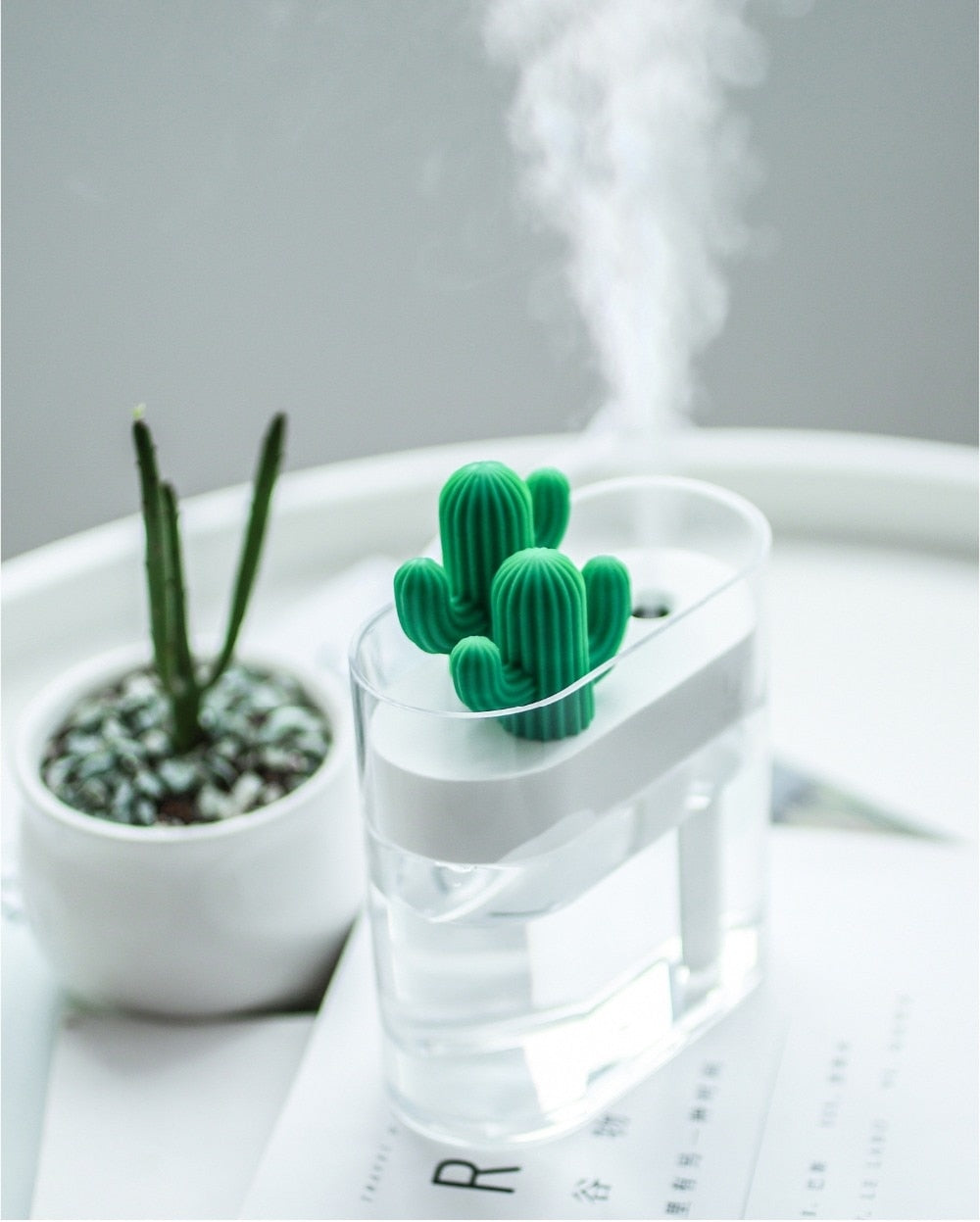 Cactus Aroma Diffuser - Ultrasonic Fragrance Diffuser with Night Light and 160 ml Tank